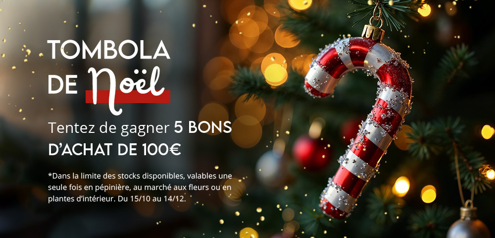 Tombola de Noël