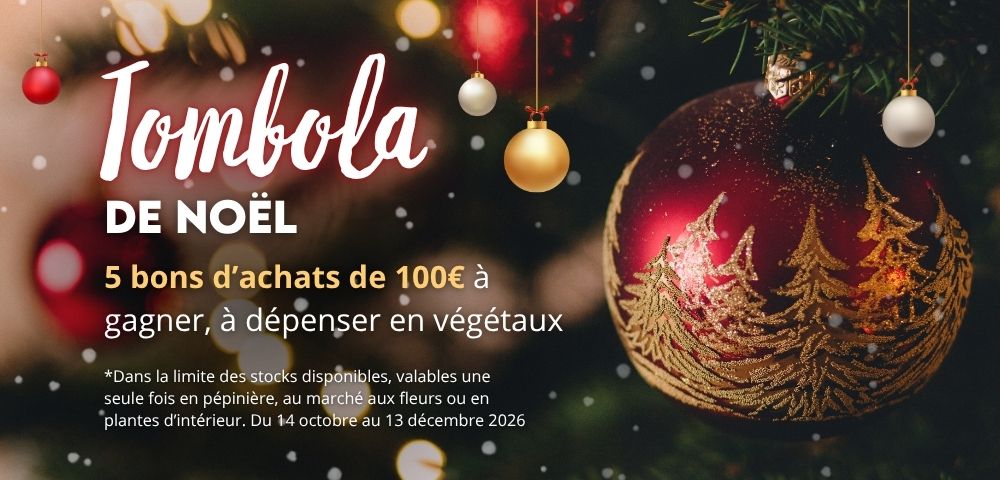 Tombola de Noël