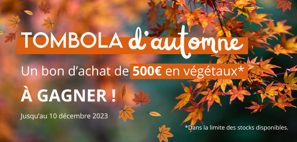 Tombola de printemps